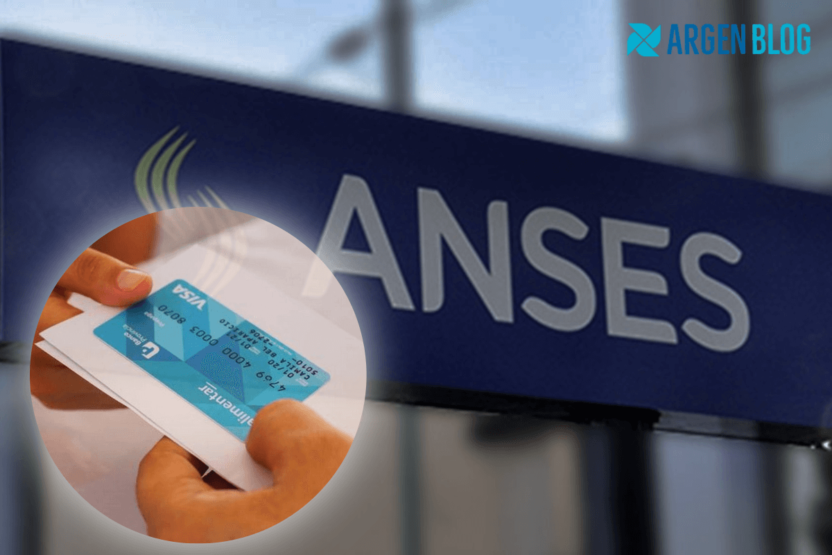 AUH anses 2025